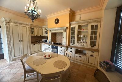 VILA CU IZ PROVENSAL  CU TEREN GENEROS SI PISCINA EXTERIOARA INCALZITA - 13