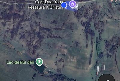 Teren de 2000 mp, în Daia - 1