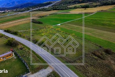Teren de 3942 mp, în Sadu - 6