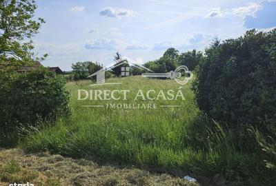 Spațiu comercial, în Ernei - 3