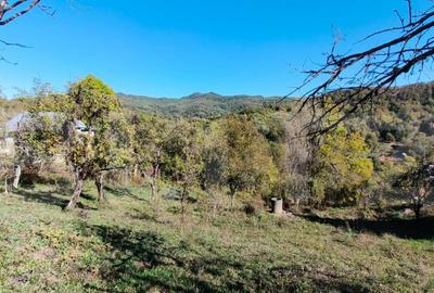 Teren cu priveli?te superba , livada ?i poten?ial casu? - 4