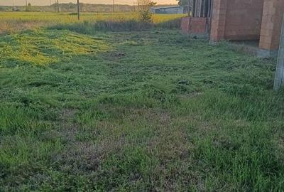 Casă cu 3 camere în Pișchia - 2