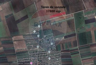 Teren Harman 37800mp la 50m de UAT Tarlungeni -cartier Izvor - 1
