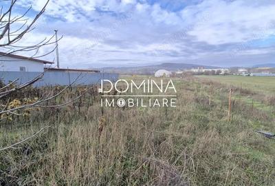 Vanzare teren extravilan, situat in Targu Jiu, strada Slobozia - 7