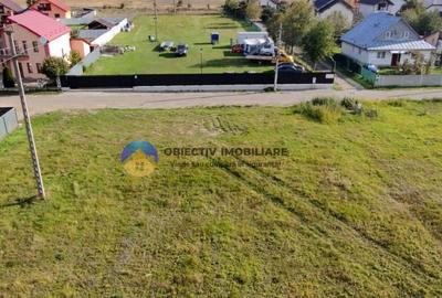 Teren de vanzare 1800 mp Dumbrava Ro?ie - 5