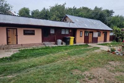 Casa mihoveni Casa mihoveni - 11