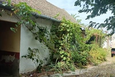 Proprietar vind casa in Ungaria localitatea Magyarcsanad aproaoe de Mako si vama Cenad Romania - 10