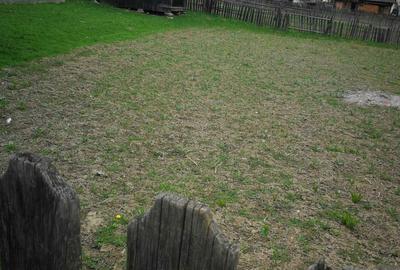 Teren de 800 mp, în Borca - 3