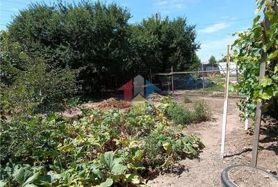 Casa de vacanta, Cazasu cu suprafata generoasa teren 824mp - 8