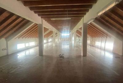 Inchiriez spatii comerciale si industriale in Dumbravita - 3