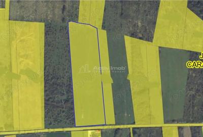 Teren de 16760 mp, în Periferie - 1