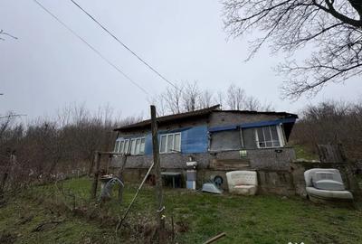 Teren de 2038 mp, în Ghercești - 4