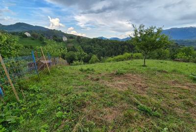 Comision 0%, TEREN INTRAVILAN SAT PESTERA BRASOV Comision 0%, TEREN INTRAVILAN SAT PESTERA BRASOV - 5