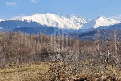 COMISION 0% Teren de vânzare EXTRAVILAN | Porumbacu de Jos - 2