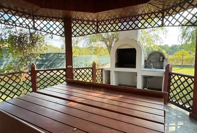 Duplex spațios cu 6 camere | Buziaș - 5
