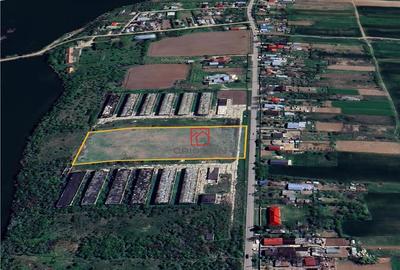 Teren de 10000 mp, în Butimanu - 8