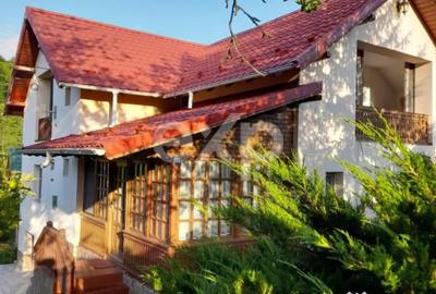 Casă cu 4 camere cu Teren 5500 Mp în Mălureni - 10