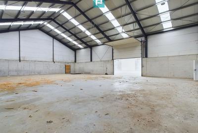 Spațiu industrial, de 411 mp, în Jebel - 1