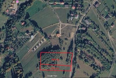 Teren de 5261 mp, în Tohănița