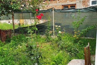 Vind casa in Bals jud.Olt - 9