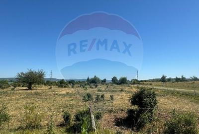 Vând Teren Dej / Strada Dumbrava Rosie - 1