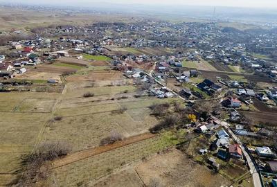 Teren de 3800 mp, în Burdujeni - 12