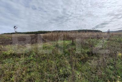 Teren intravilan de vanzare - 1