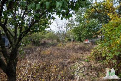 Casa individuala + Teren 828 mp in zona Caldararu Cernica - 2