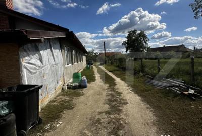 Casă cu 4 camere cu Teren 3018 Mp în Vest - 9