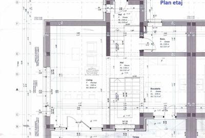 Casă cu 4 camere cu Teren 456 Mp în Sava - 3