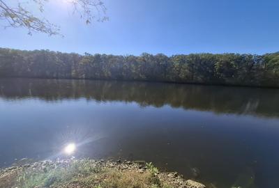 Teren | Pasarea - Branesti | Su: 700 mp | Utilitati | Ideal Casa | Investitie | - 1