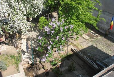 PTA VICTORIEI - VILA 521 MP UTILI, TEREN 587 MP! - 6