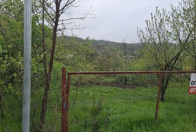 Teren de 3000 mp, în Predeal - 6