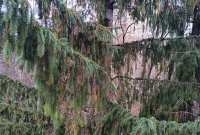 Apartament 2 camere de vânzare ,în Gheorgheni, zona Unirii - 8