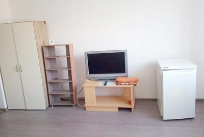 Garsonieră decomandată, mobilată în Valea Borcutului - 3