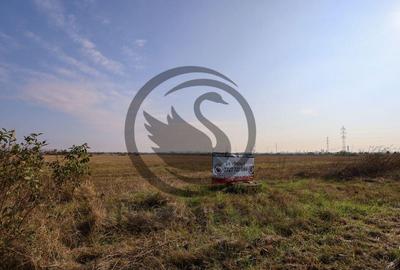 Teren de vanzare | 5050mp | Zona de Nord, Ploiesti | COMI... - 1