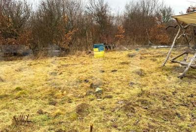 Teren de 2900 mp, în Central - 5