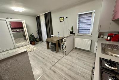 FILM&3D! Elegant, mobilat, accesorizat,totul nou,gata de mutat/inchiriat, Unirii - 14