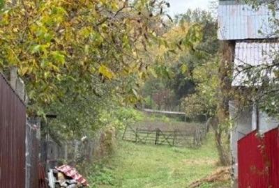 Teren faneata Vizantea Livezi , ID: R2800612 - 2