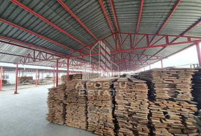 Spațiu industrial, de 13,917 mp, în Vladimirescu - 7