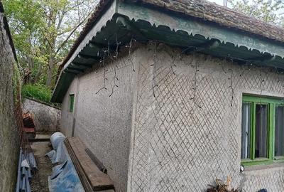 Casă cu Teren 2000 Mp în Cerchezu - 6