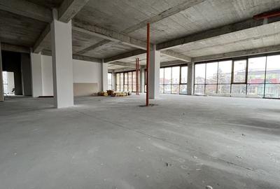 Spatiu Comercial-Birouri, 300mp, Et. 1, Cal. Torontalului - Bulevard! - 6