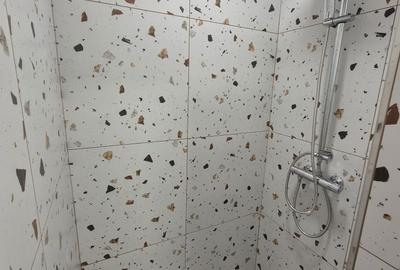 Garsonieră decomandată în Bună Ziua - 5