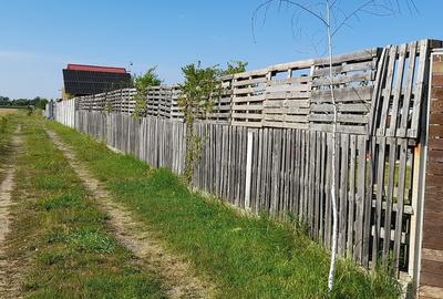 Ciorogarla, Ilfov - 6