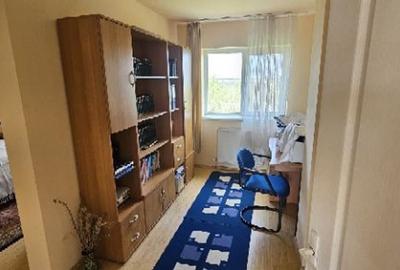 Ciopani vila 5 camere teren 4000 mp - 34