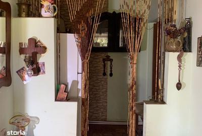 Casă cu Teren 7655 Mp în Central