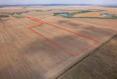 FRUMUSANI - PASAREA, TEREN 14420 MP, FRONT 40 M! - 2