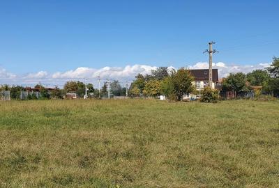 Spațiu comercial, în Cărpiniș - 6