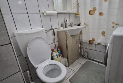 Apartament cu 2 camere semidecomandat în Cetate - 5