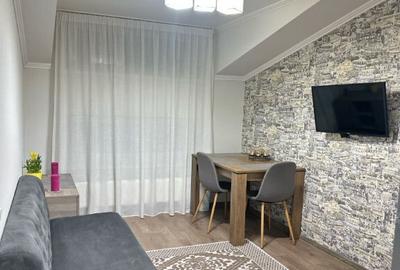 Apartament cu 2 camere de inchiriat in zona Blumana - 2